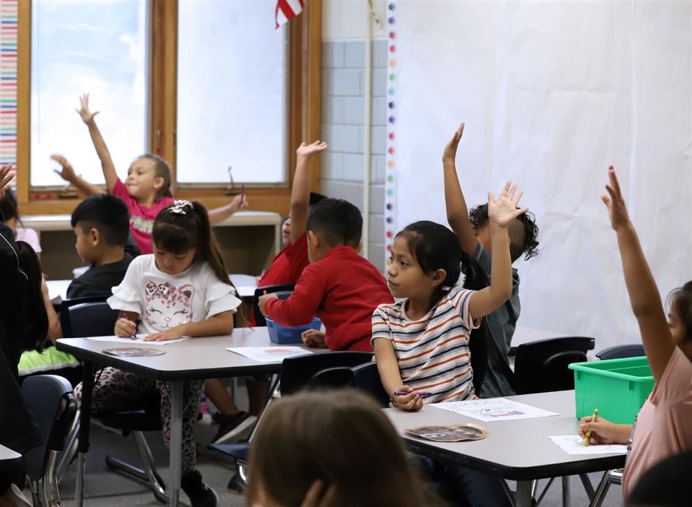Students raising hands in an Elementary classroom